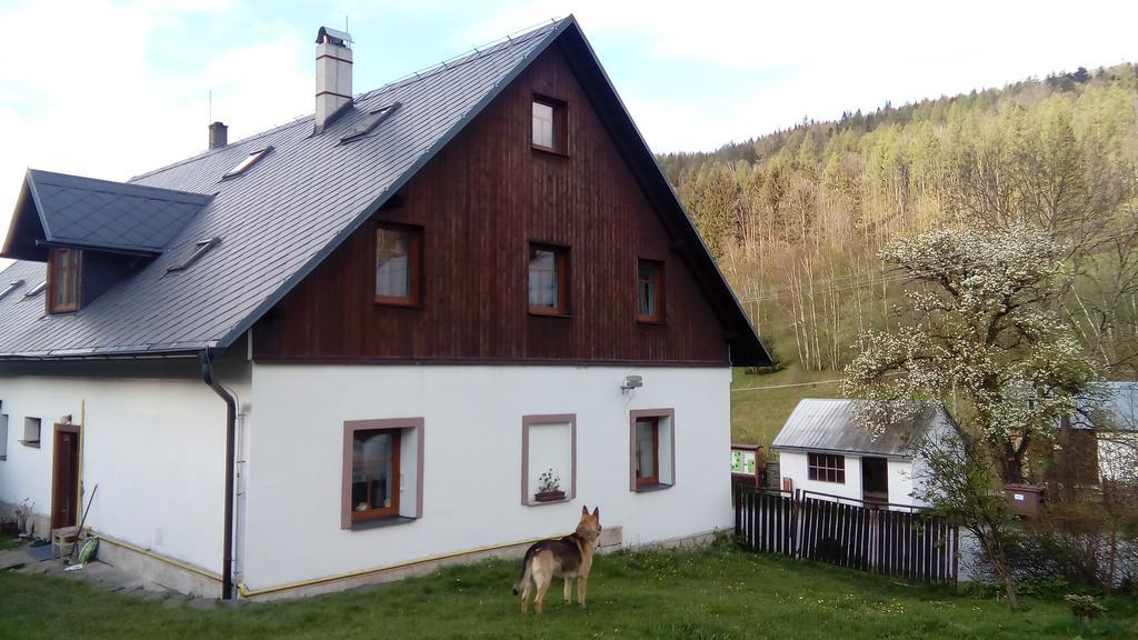 Penzion Edelstejn Petrovice  Buitenkant foto