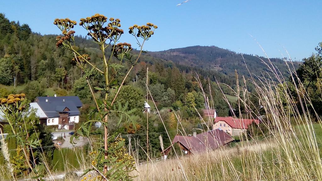Penzion Edelstejn Petrovice  Buitenkant foto