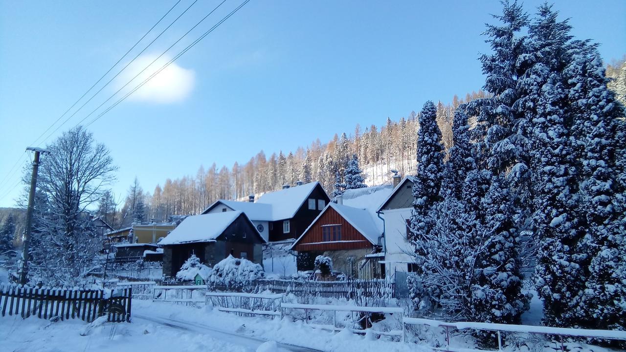 Penzion Edelstejn Petrovice  Buitenkant foto