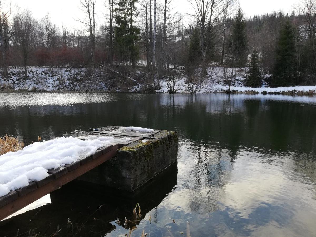 Penzion Edelstejn Petrovice  Buitenkant foto